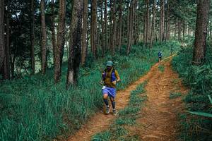 BIB: 
                            <button type="button" onclick="openModal(25753433)" class="btn btn-primary btn-sm float-right btn-popup" data-toggle="modal" data-target=".modal-high-quality">
                        <i class="fas fa-shopping-cart"></i> Add to Cart
                    </button>
                                            <button type="button" onclick="isThisMe(25753433, true)" class="btn btn-success btn-sm float-right btn-popup btn-isme hidden" data-toggle="tooltip" data-placement="bottom" title="นี่คือรูปของคุณใช่ไหม คลิกที่นี่เพื่อเอาเข้าอัลบั้ม">
                        <i class="fas fa-plus"></i> Add to album
                    </button>
                    <button type="button" onclick="isThisMe(25753433, false)" class="btn btn-warning btn-sm float-right btn-popup btn-isnotme hidden">
                        <i class="fas fa-ban"></i> Remove from album
                    </button>